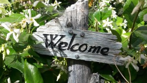 welcome to new cic insurance website